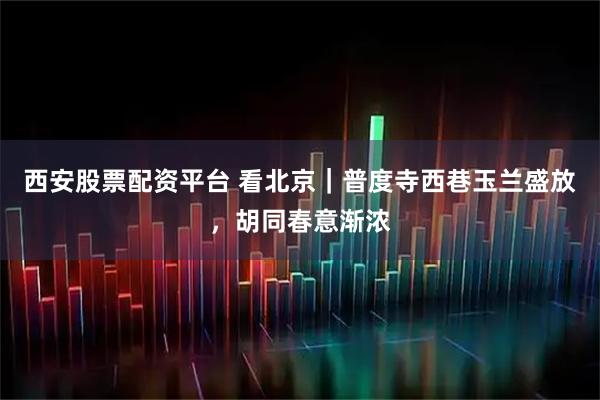 西安股票配资平台 看北京｜普度寺西巷玉兰盛放，胡同春意渐浓