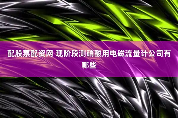 配股票配资网 现阶段测硝酸用电磁流量计公司有哪些